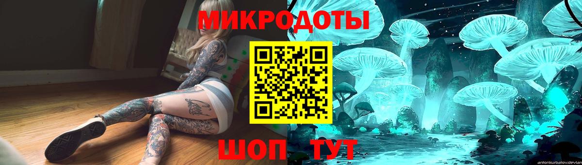 Псилоцибиновые грибы прущие грибы  Вход с VPN  как найти   Зеленогорск 